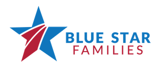 BSF-Logo-2018-01-2